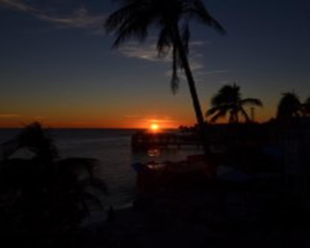 Coconut Beach Resort Key West Extérieur photo